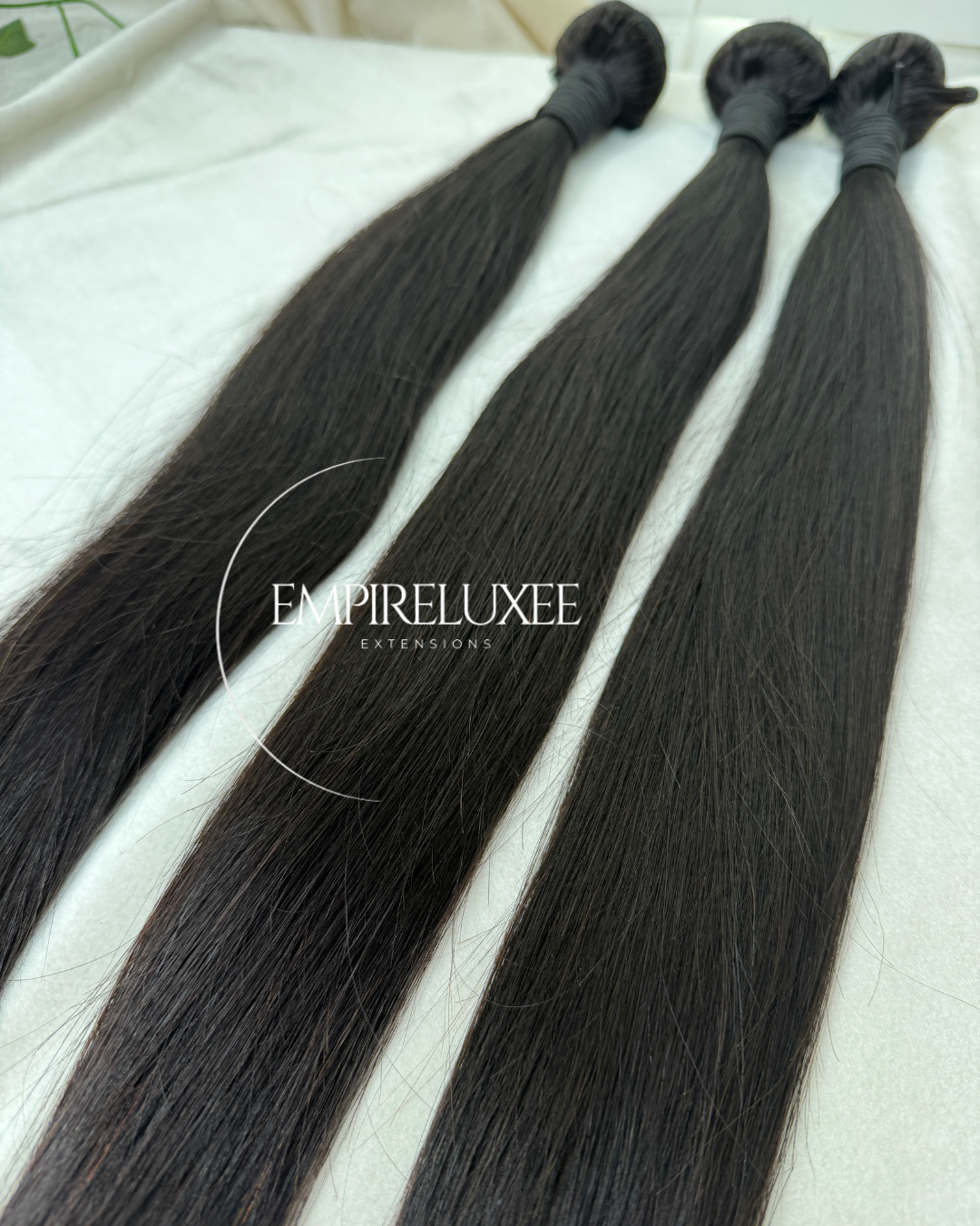 Virgin Straight Bundles